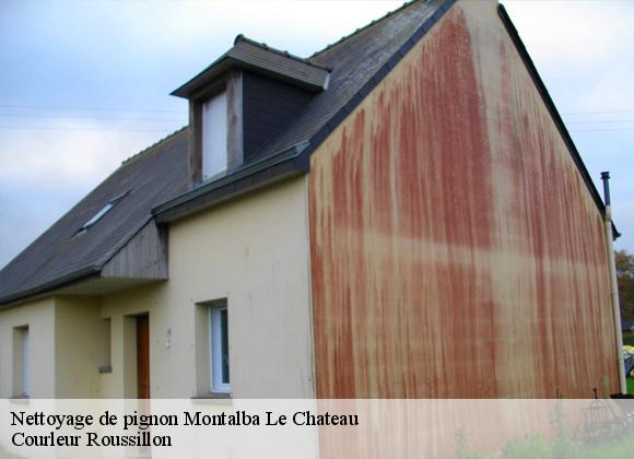 Nettoyage de pignon  montalba-le-chateau-66130 Courleur Roussillon