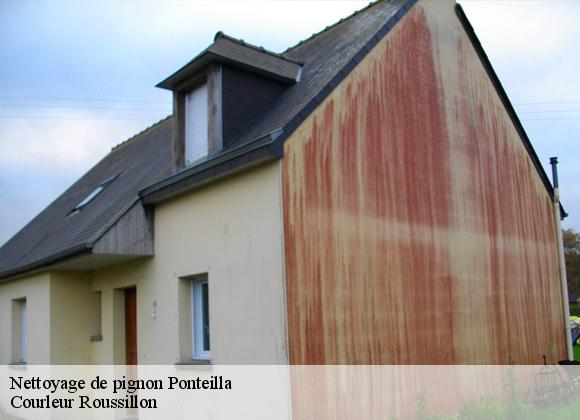 Nettoyage de pignon  ponteilla-66300 Courleur Roussillon