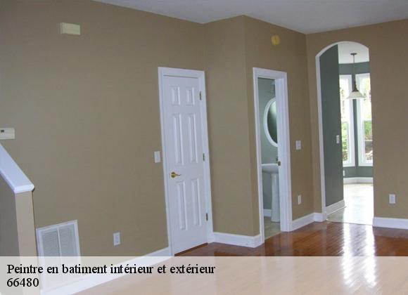 Peintre en batiment intérieur et extérieur  66480