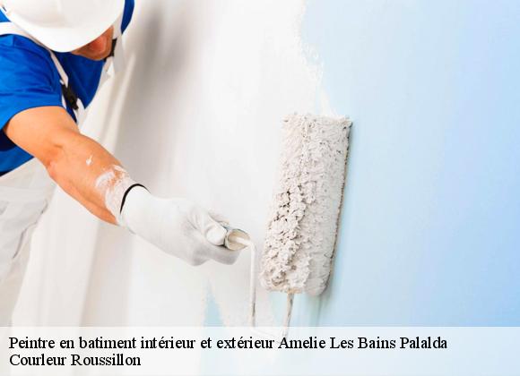 Peintre en batiment intérieur et extérieur  amelie-les-bains-palalda-66110 Courleur Roussillon