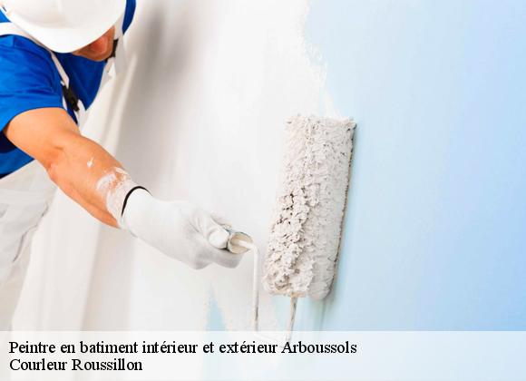 Peintre en batiment intérieur et extérieur  arboussols-66320 Courleur Roussillon